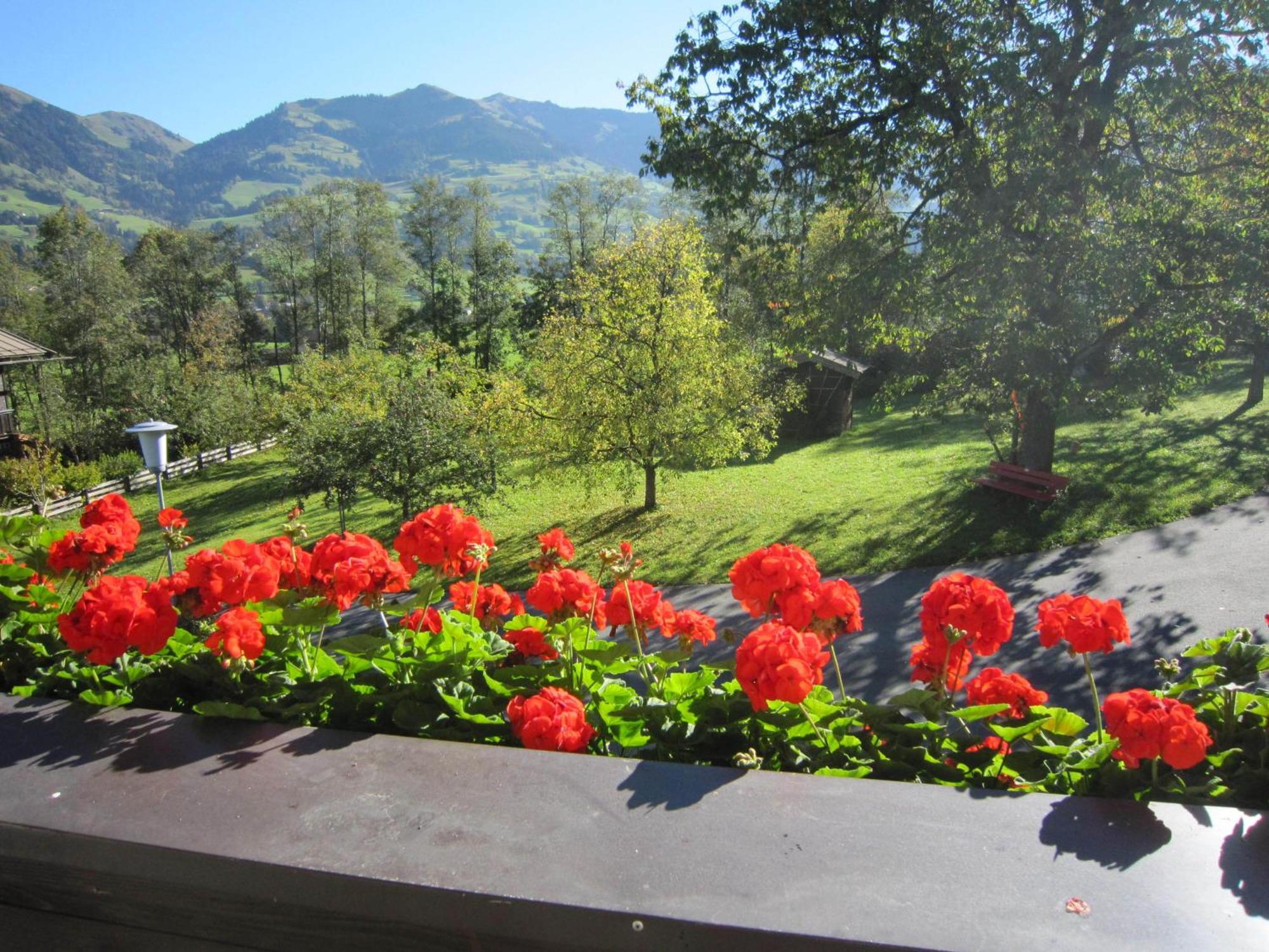 Pension Feiersinger Kitzbühel Dış mekan fotoğraf