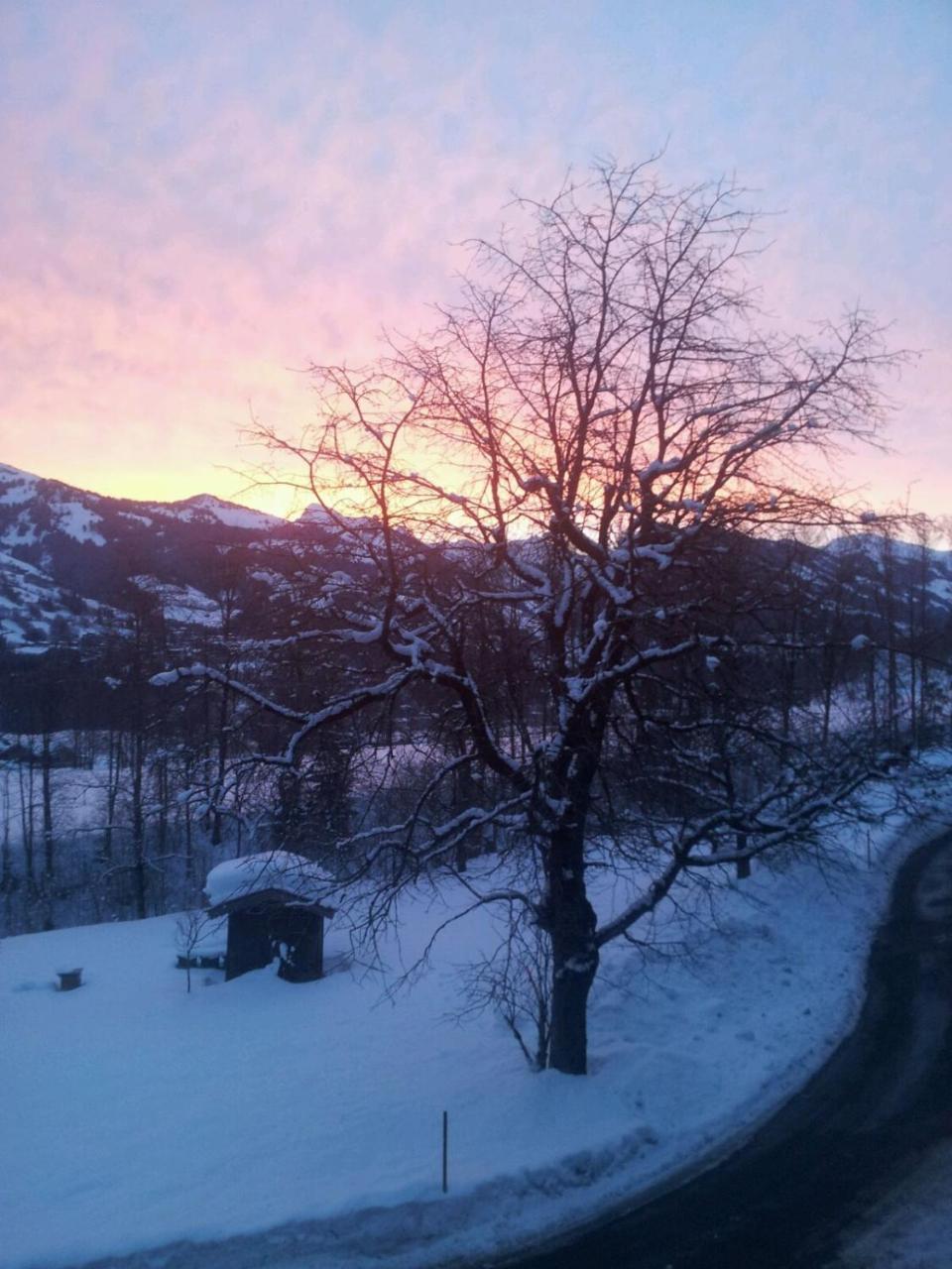 Pension Feiersinger Kitzbühel Dış mekan fotoğraf